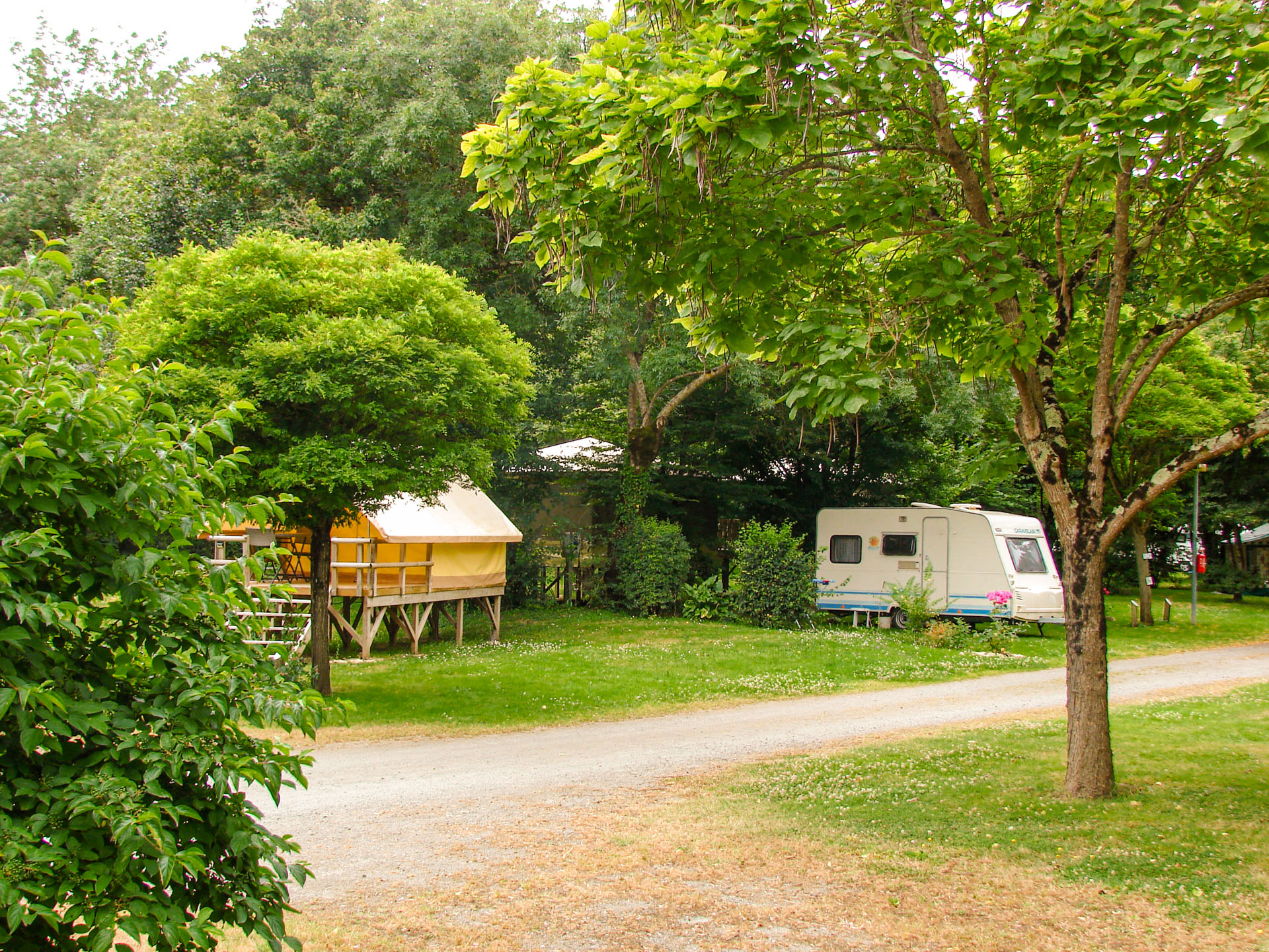 emplacement caravane arbre la fritillaire