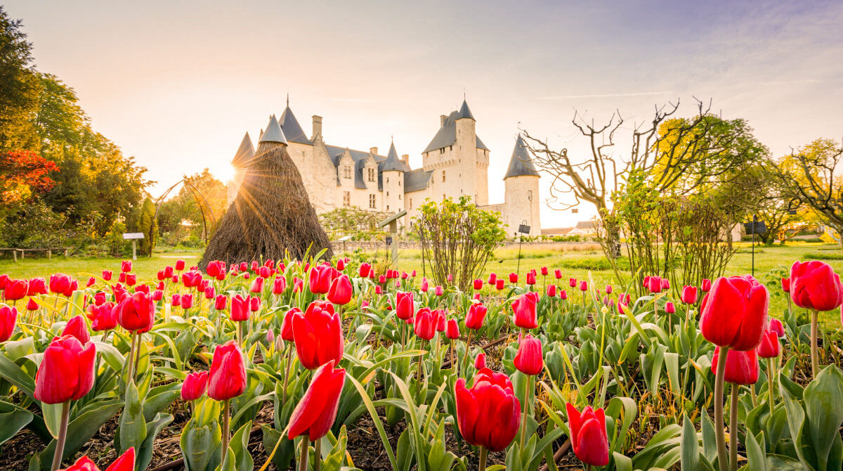 jardins chateau rivau jean christophe coutand loire fritillaire