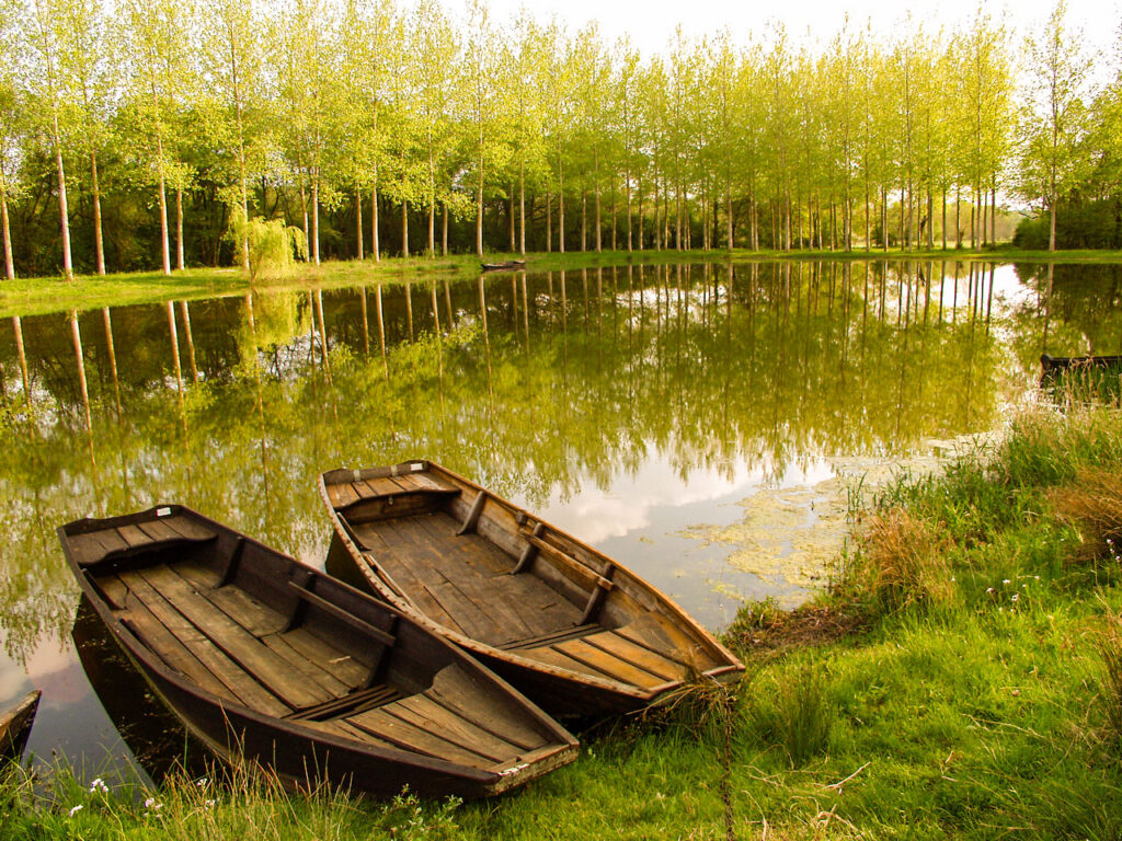 Barques dans le bocage à Savigny-en-Véron - CRT